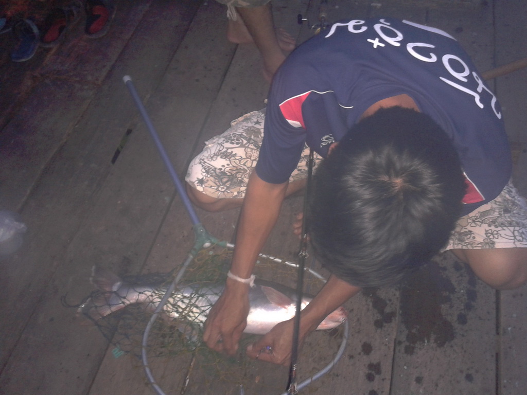 พักเรื่องช่อนนา...ไปตกปลาที่บางไทร
