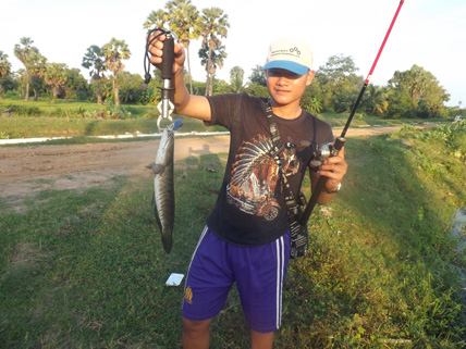 ปลาช่อนยามเย็นหลังเลิกงาน ณ. เพชรบุรี ครับ