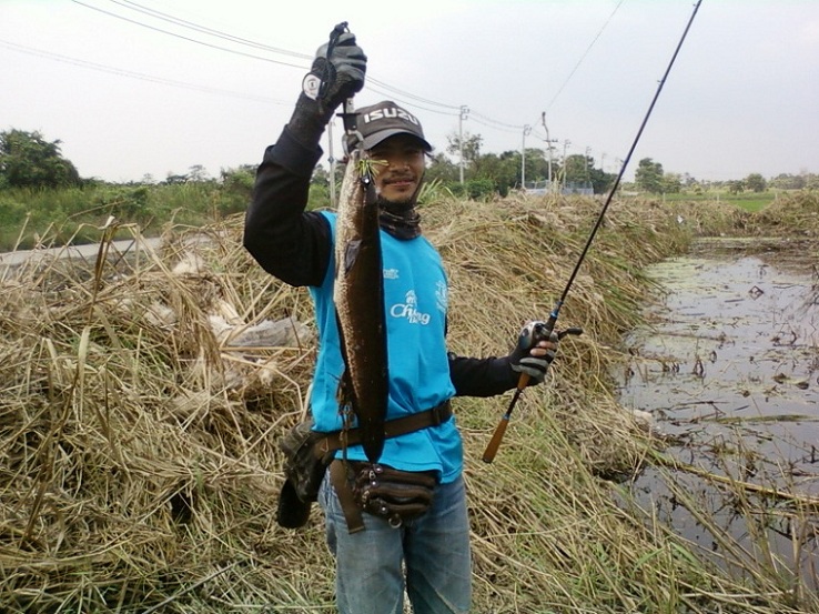 ช่อนข้างทาง 2โลครึ่ง ที่บางบ่อ