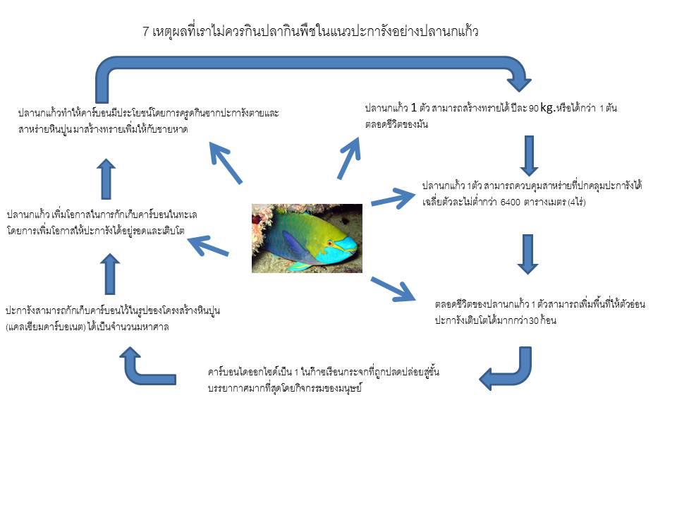 เหตุผลดีๆ ที่ไม่ควรกินปลากินพืชอย่าง ปลานกแก้ว