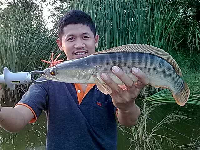 หลังเลิกงาน ซักนี๊ดนึง