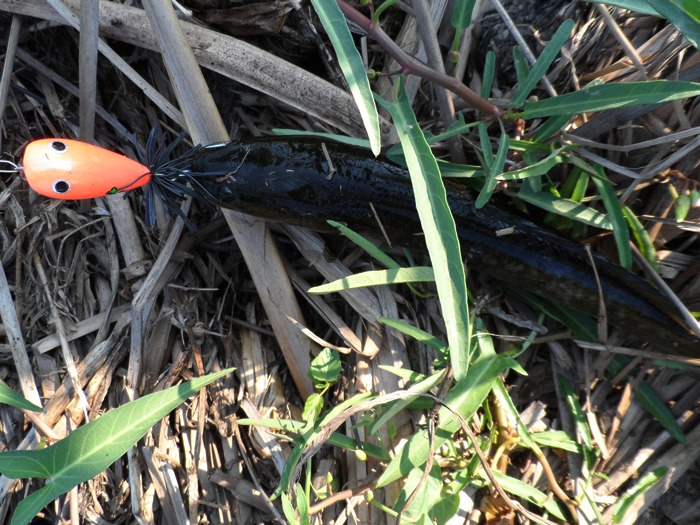 ตลาดวาย จริงๆ