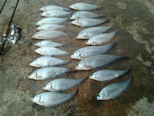 วันวานยังหวานอยู่ภาค 2!  9-12-12