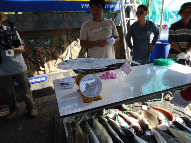 ปลางานแข่งทะเลตราดครั้งที่10 