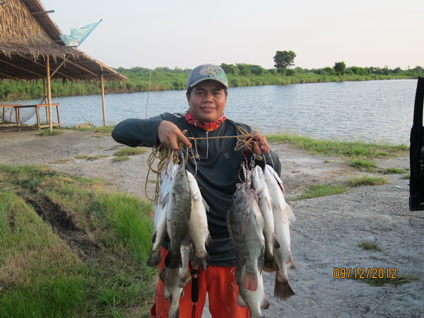 บ่อตกปลาน้องพลอย2 เปิด อาทิตย์ที่ 16 ธันวาคม 2555