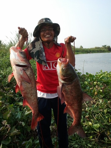 @บางไทร3