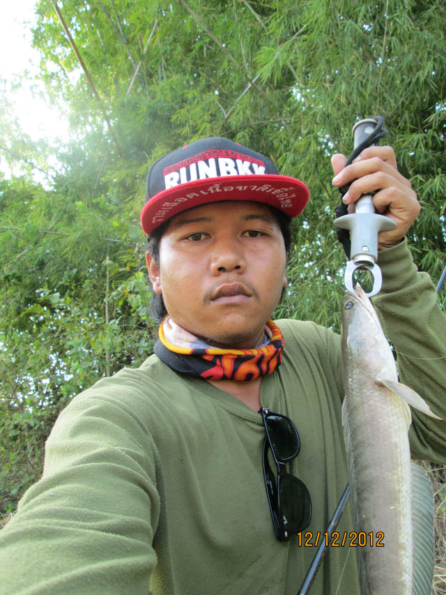 (ทริปสั้นๆ)กระดี่เหล็กกับช่อนไซด์กะลังน่าเผาBy Moss