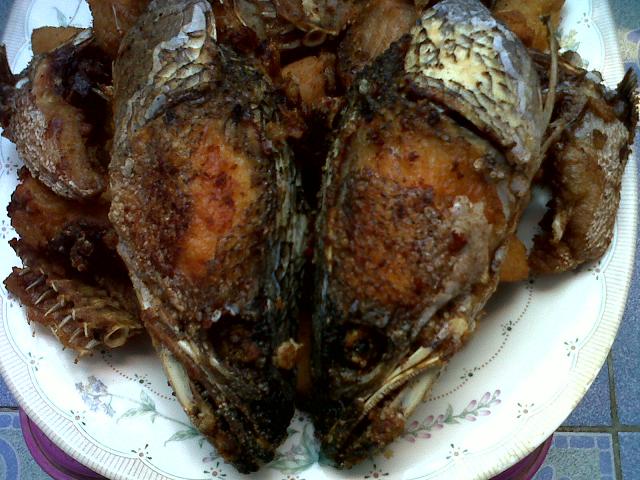 +++ ทำอะไรกินก็อร่อยครับ +++