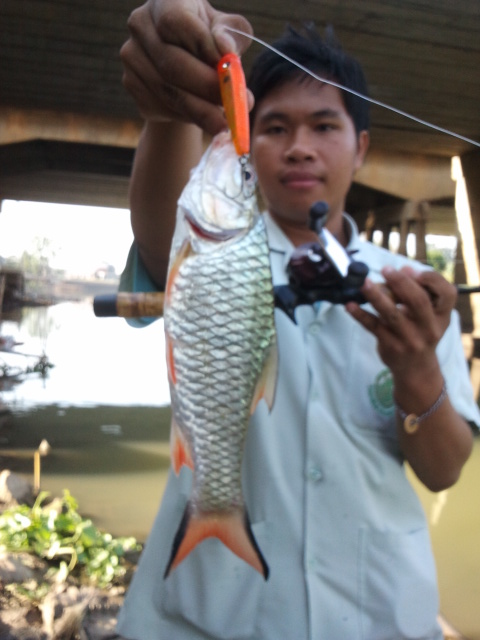 น้องใหม่หัดตกปลากระสูบท่าจีน ณ สุพรรณบุรี ครับ