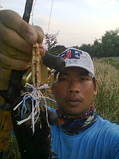 เทสลูกไอ้เข้