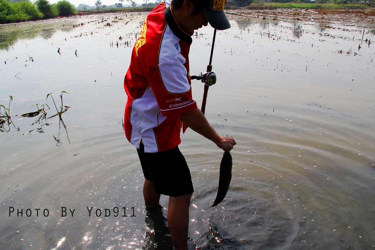 +++สะท้านโลกัณฑ์เลยทีนี้เมื่อซุปตาร์ลงนา+++