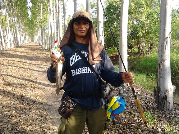 ช่อนนาชะโดคลอง