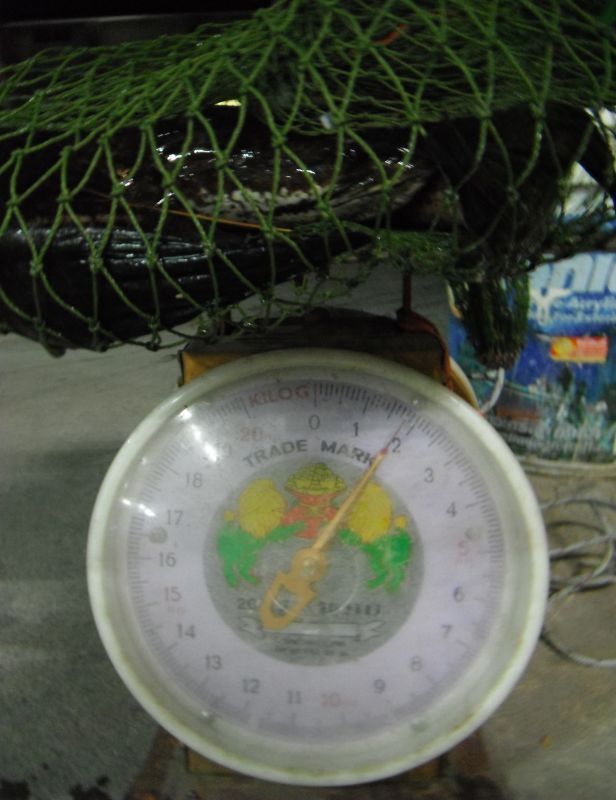 ระหว่างรอน้องเลิกงานที่ศูนย์ศิลปชีพบางไทร