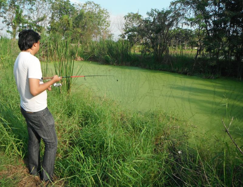 ระหว่างรอน้องเลิกงานที่ศูนย์ศิลปชีพบางไทร