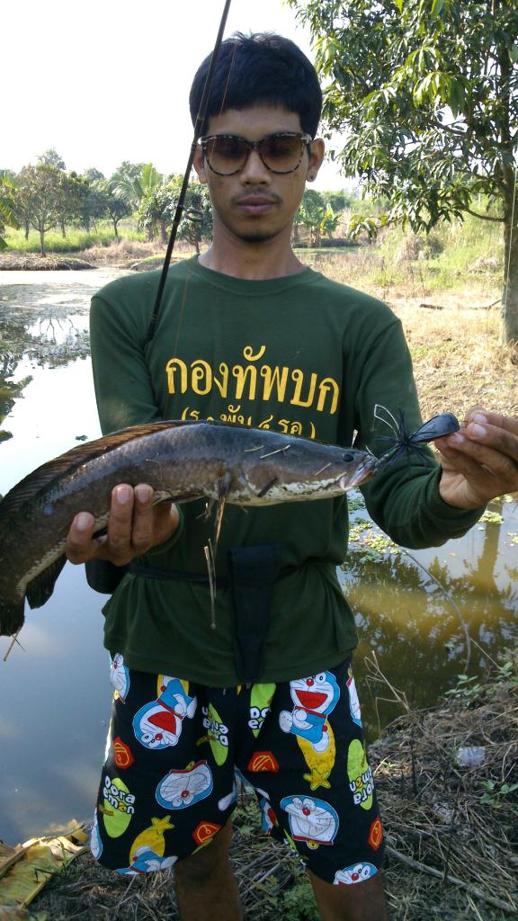 ช่อนใหญ่เมืองบางพลี