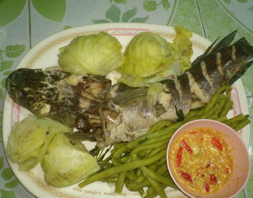 ))))  เวลาว่าง เมื่อลูกหลับ มือใหม่ครับ  ((((