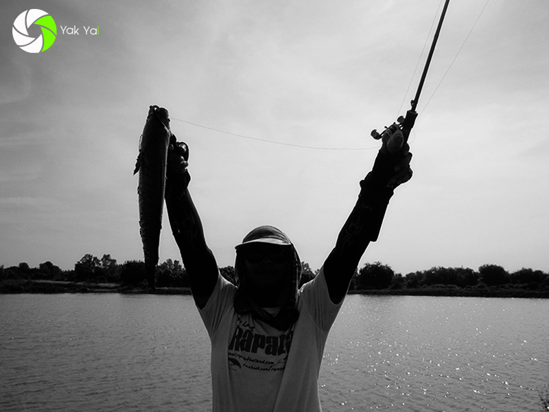 วิถีแห่ง Texas Rig 205 
