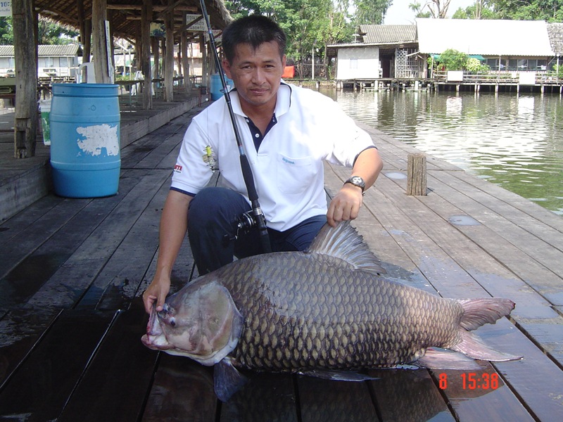 กระโห้......ตัวน้อย......บึงสำราญ