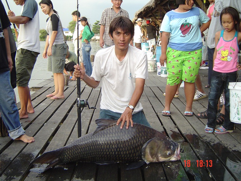กระโห้......ตัวน้อย......บึงสำราญ