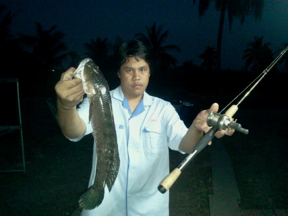 เหยื่อ bird-sa แก้คันมือ! 25-12-12