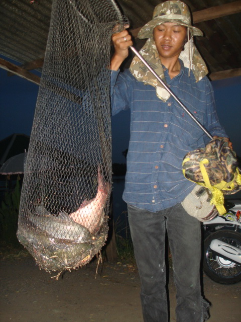 เสาร์-อาทิตย์ 22,23 - 12 - 12 ที่บ่อหนุ่มฟิชซิ่งบางวัว(บ่อรวม)