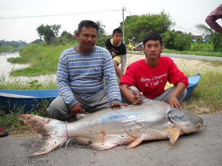 .....บึก...บางแก้ว...เจ้าพระยา.....