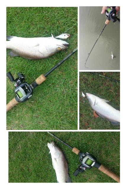 ทดสอบเหยื่อ rapala rippin