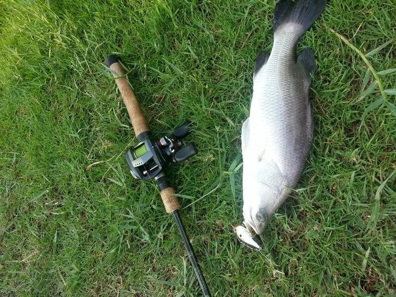 ทดสอบเหยื่อ rapala rippin