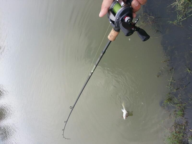 ทดสอบเหยื่อ rapala rippin
