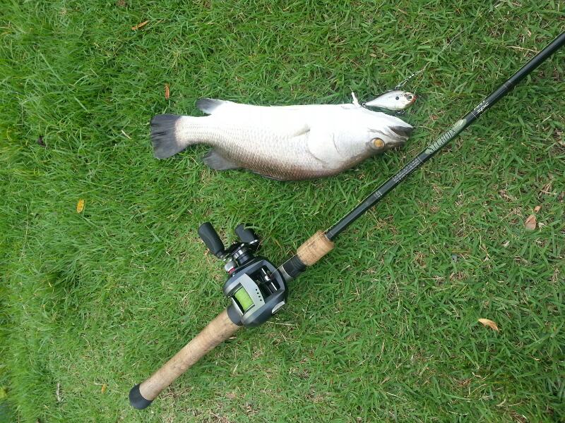 ทดสอบเหยื่อ rapala rippin