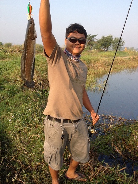 อะไรกันนี่>>ช่อนสุพรรณ<< อีกแล้ว