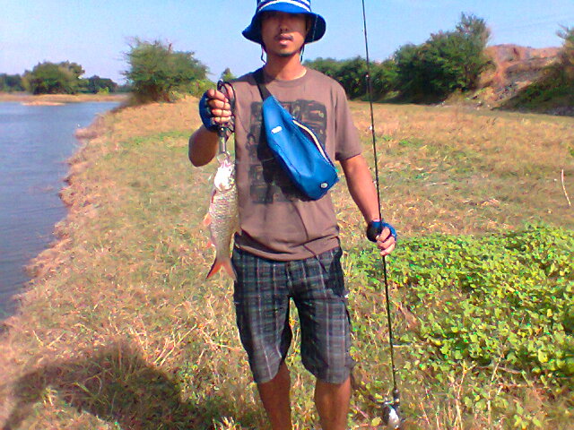 กระสูบเขื่อนป่าสักครับ