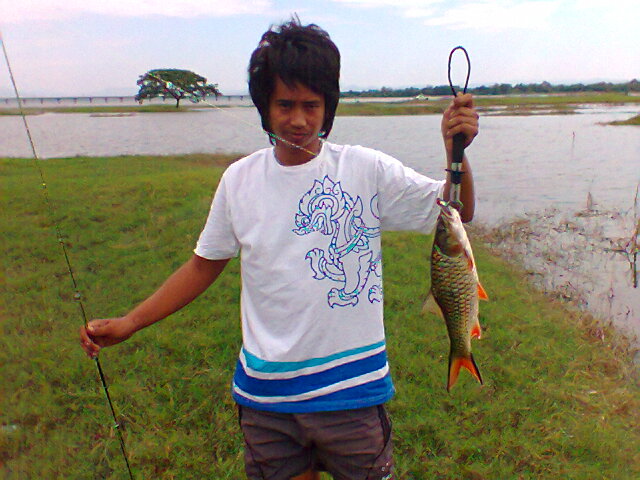 กระสูบเขื่อนป่าสักครับ