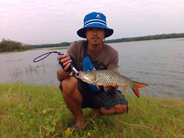 กระสูบเขื่อนป่าสักครับ