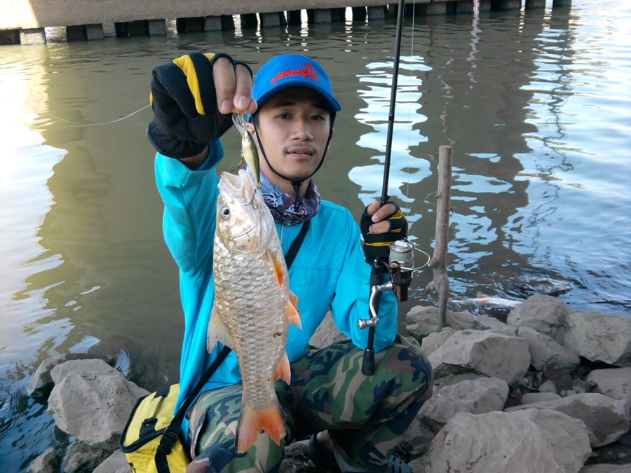 ..... I Like...กระสูบ...ใหญ่...เจ้าพระยา.....