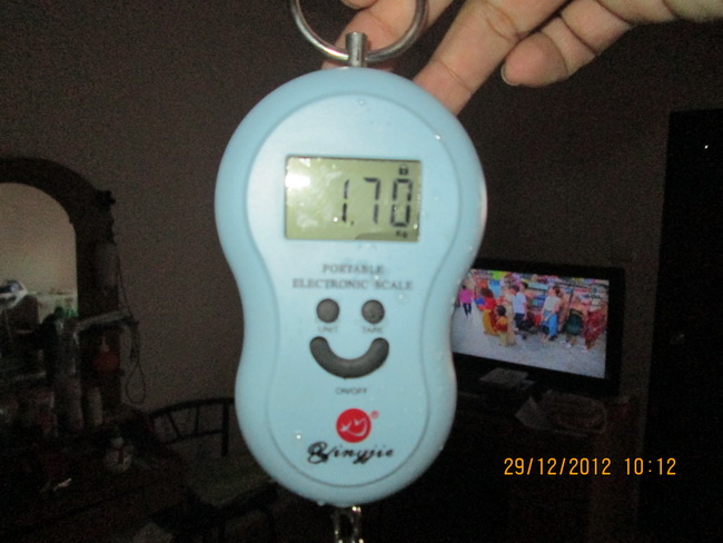 ช่อน 1.70 กิโล