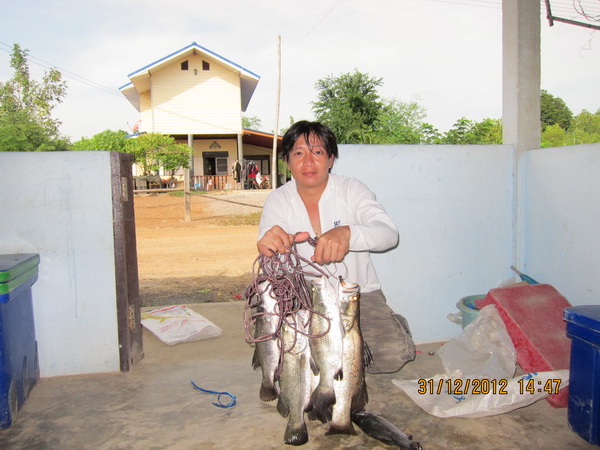 บ่อน้องพลอย1