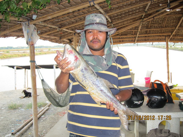 บ่อน้องพลอย1