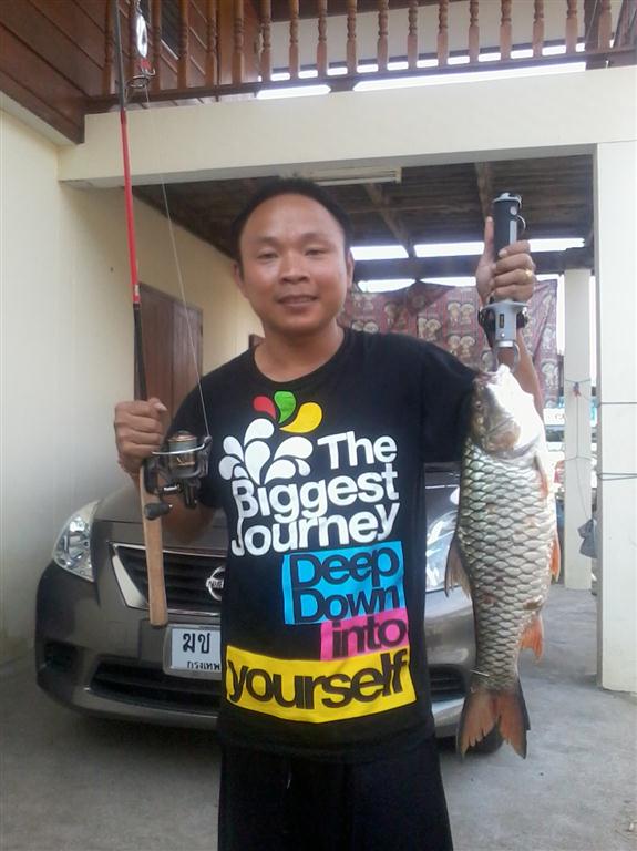 กระสูบ พิกัด 3 โล ต้อนรับปี 2013 ณ.ลำน้ำปิง อ.บ้านตาก จ.ตาก