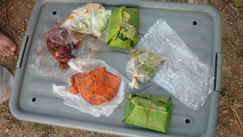 ทริปส่งท้ายปีเก่าลำปางหนา