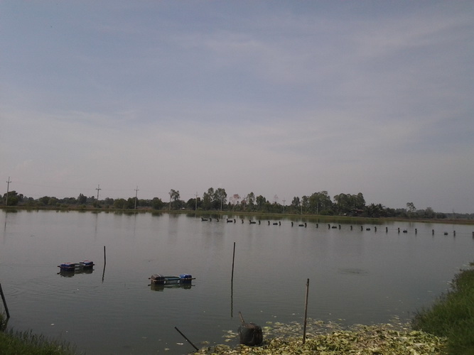น้องช่อนบ้านสร้าง20/01/56