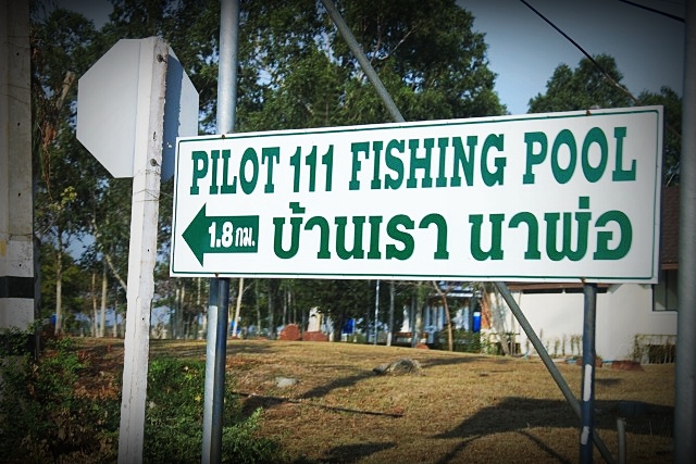 ++...ช่วงนี้ บ่อ PILOT 111  เป็นไงบ้างคับ....+++