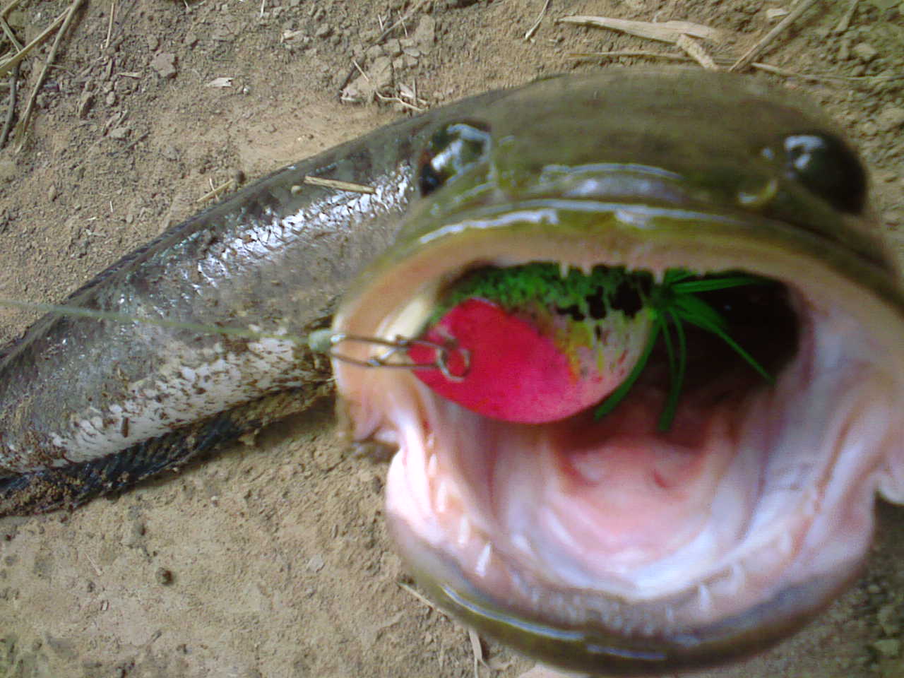 ฉลองคันเบ็ดใหม่