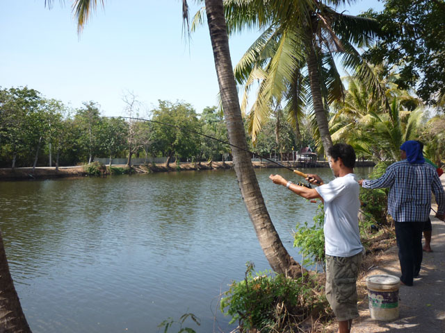 บึงบัว นครหลวง ยุดยา  By...ขวัญเมืองฟิชชิ่ง