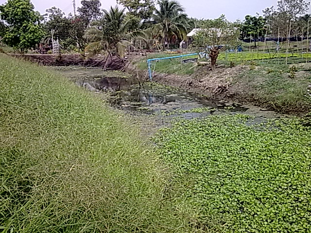 ปีใหม่แล้ว นับหนึ่งใหม่ 