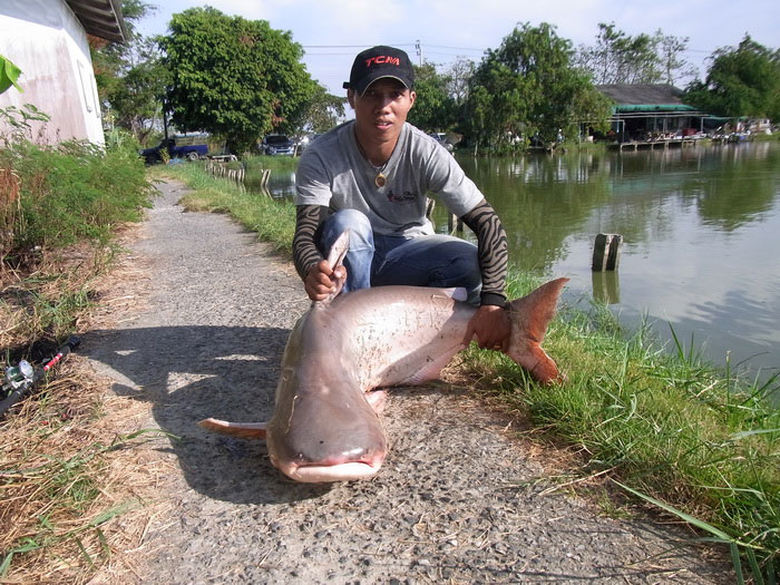รับปีใหม่กับบ่อพัชพริ้ง......ต้อนรับแบบปวดหลังเลย