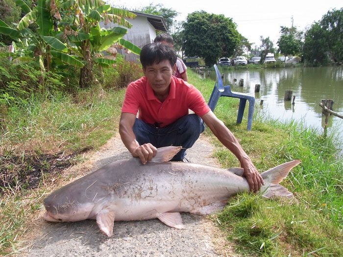 รับปีใหม่กับบ่อพัชพริ้ง......ต้อนรับแบบปวดหลังเลย