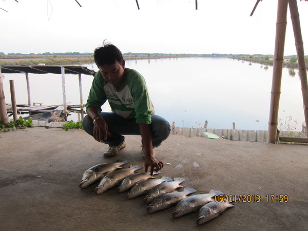 บ่อน้องพลอย1