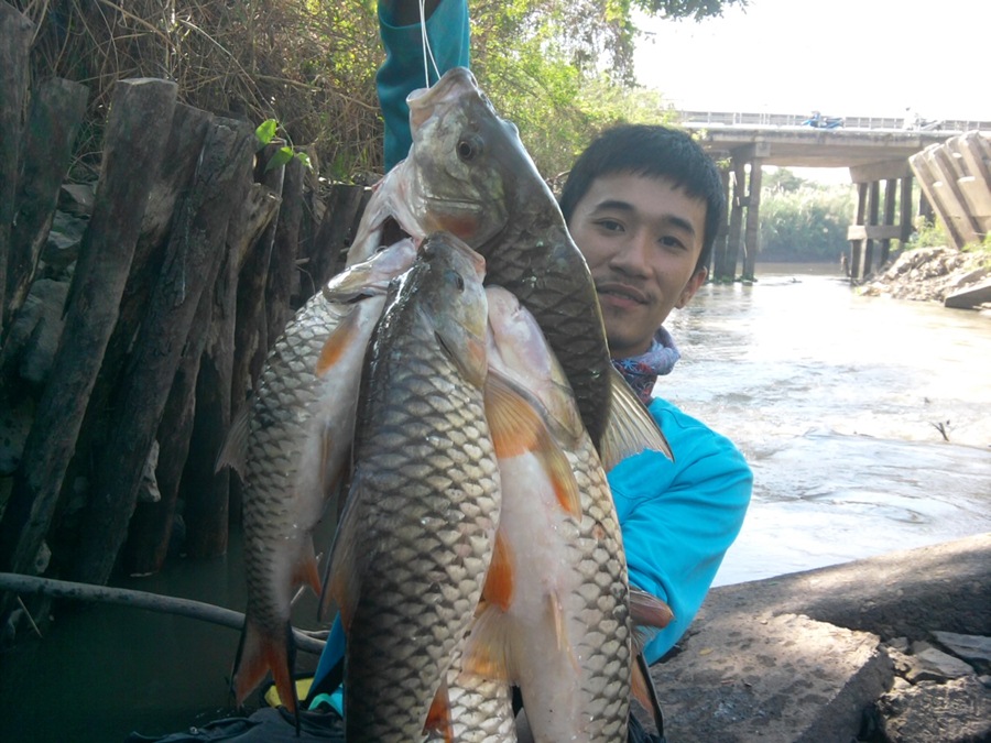 .....Fishing Easy...กระสูบใหญ่น้ำไหล...ใครๆก็...Like...มันส์ๆๆ.....