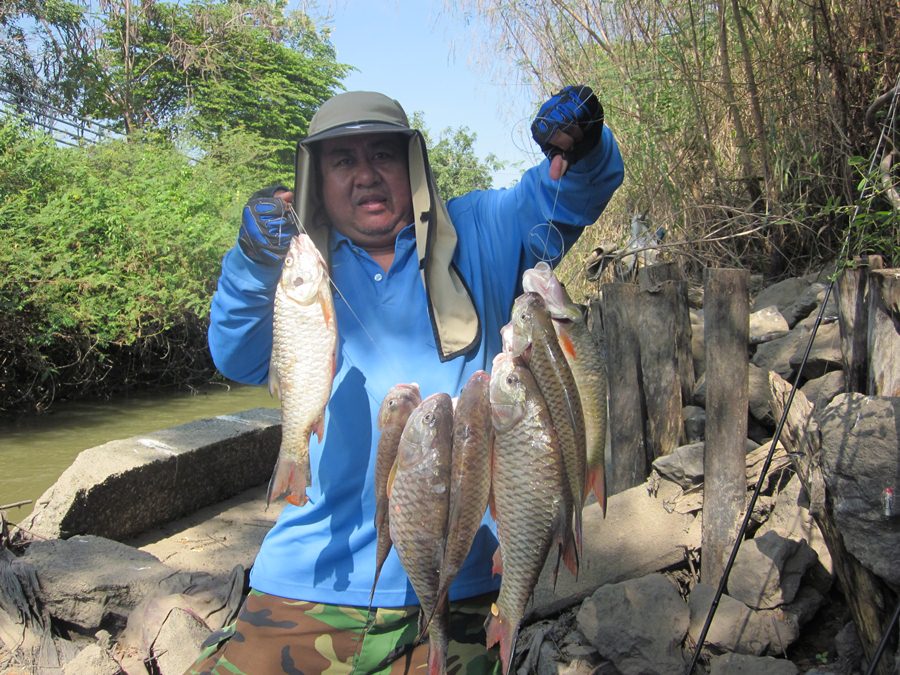 .....Fishing Easy...กระสูบใหญ่น้ำไหล...ใครๆก็...Like...มันส์ๆๆ.....